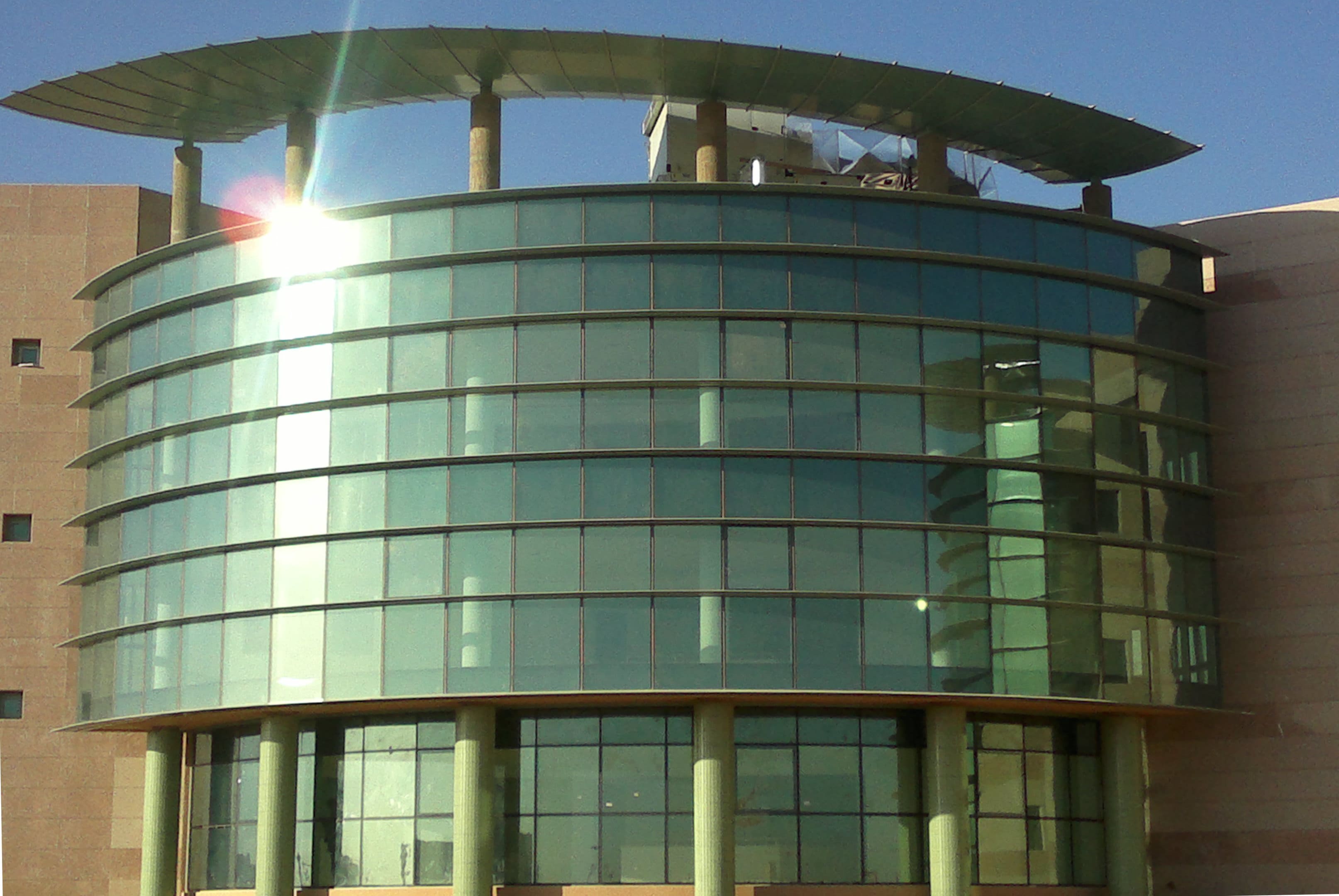 جامعة حائل